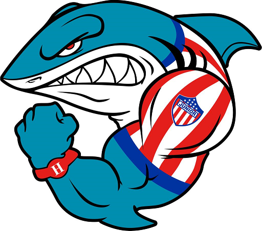 KILLASHARK FC