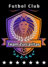 Team Zurcaritas