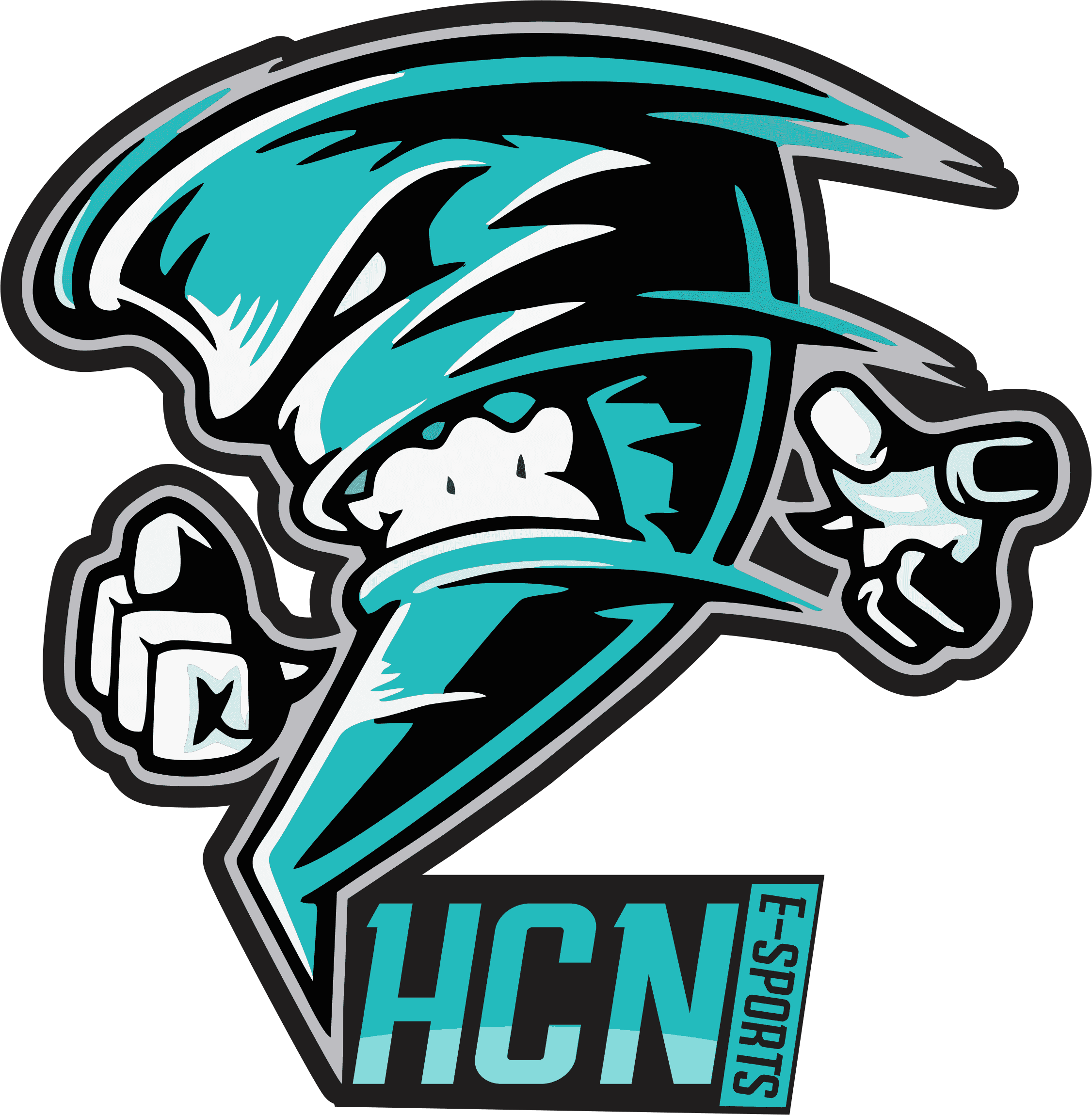 HcN E-Sports