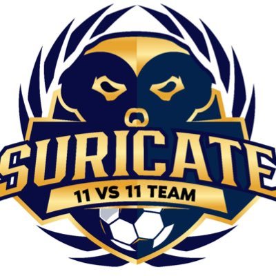 Team suricate